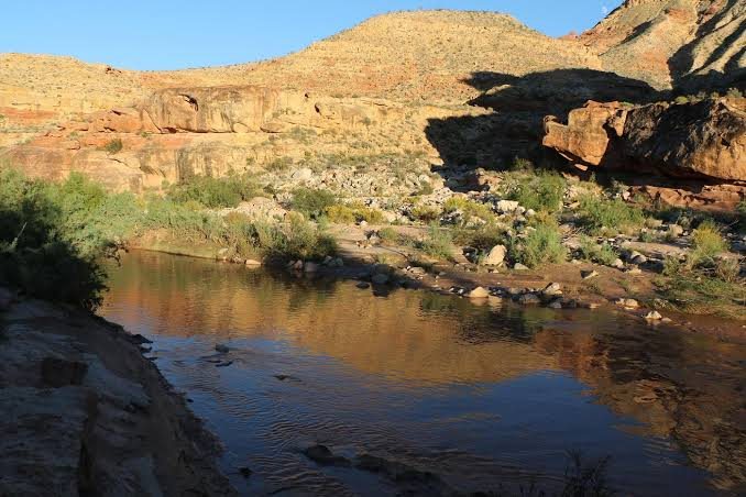 Arizona desert along the Virgin River